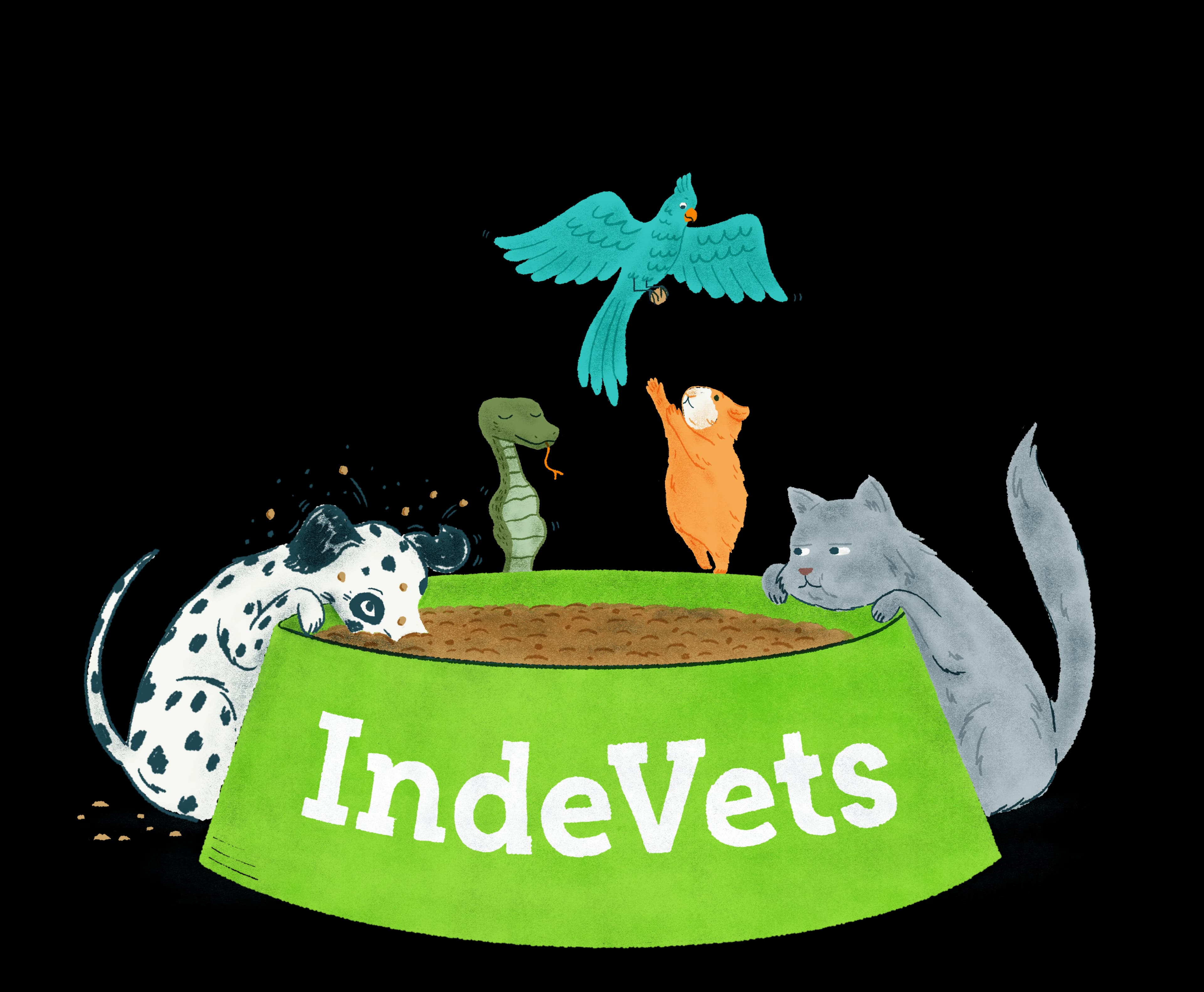 A dalmatian, cat, guinea pig, lizard and parrot gathered around an oversized green IndeVets food bowl